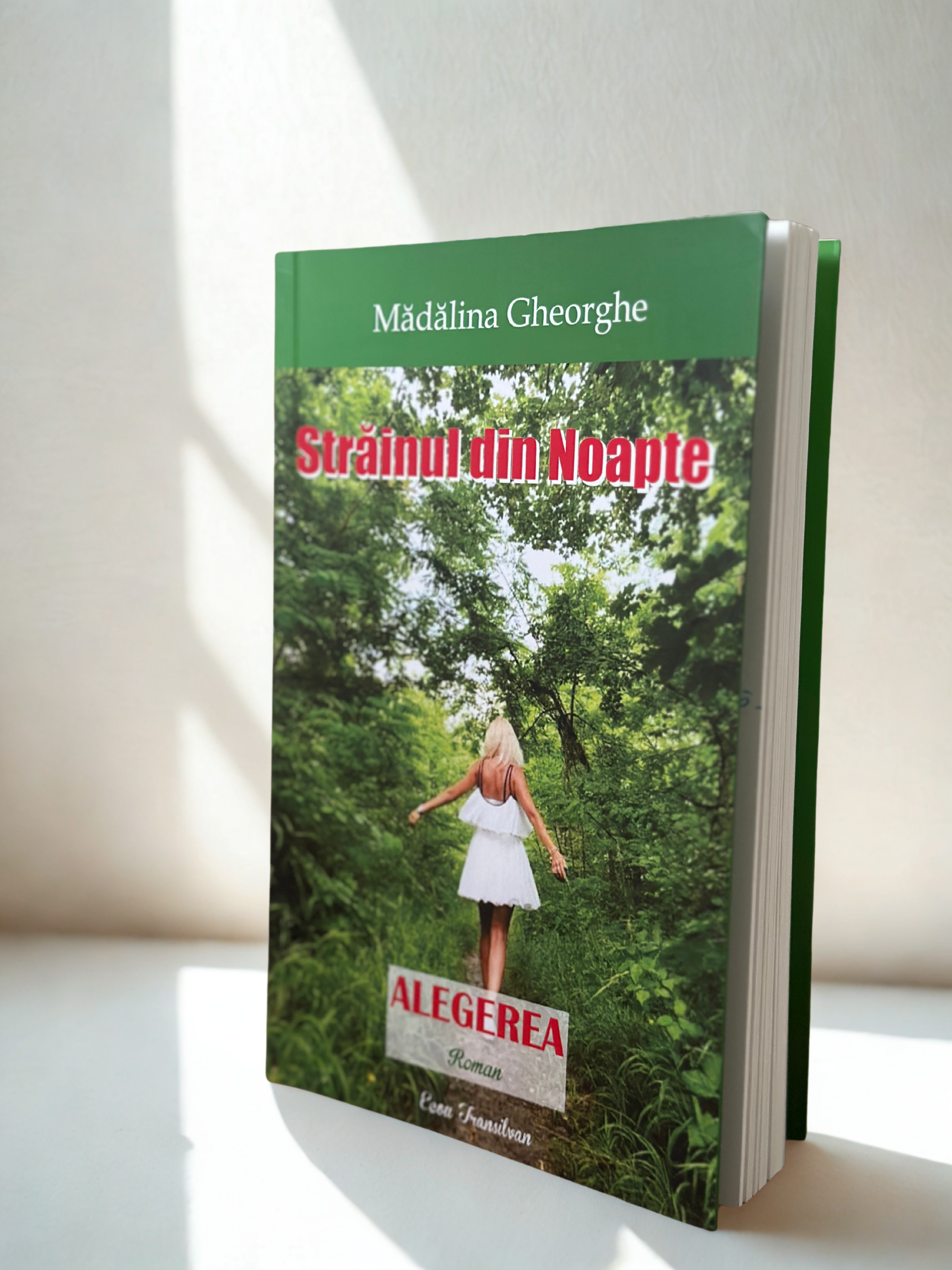 Străinul din Noapte - ALEGEREA (vol.3)