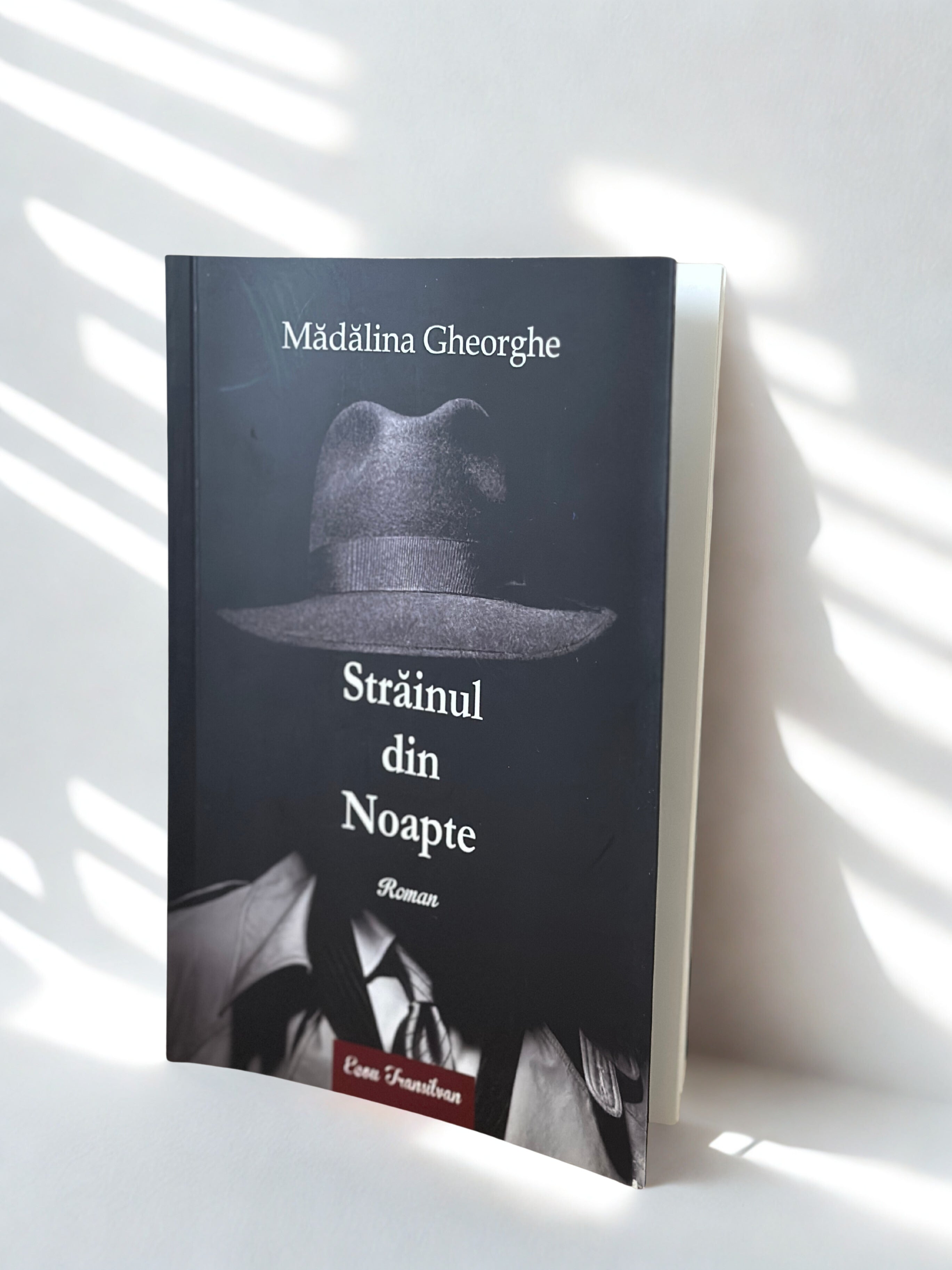 Străinul din Noapte